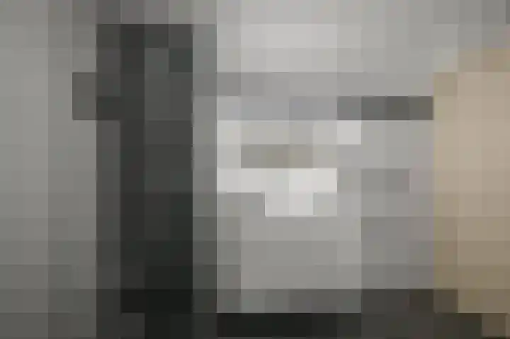 Maneschijn 31 Assendelft thumbnail 24
