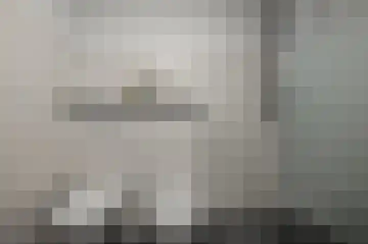 Maneschijn 31 Assendelft thumbnail 26