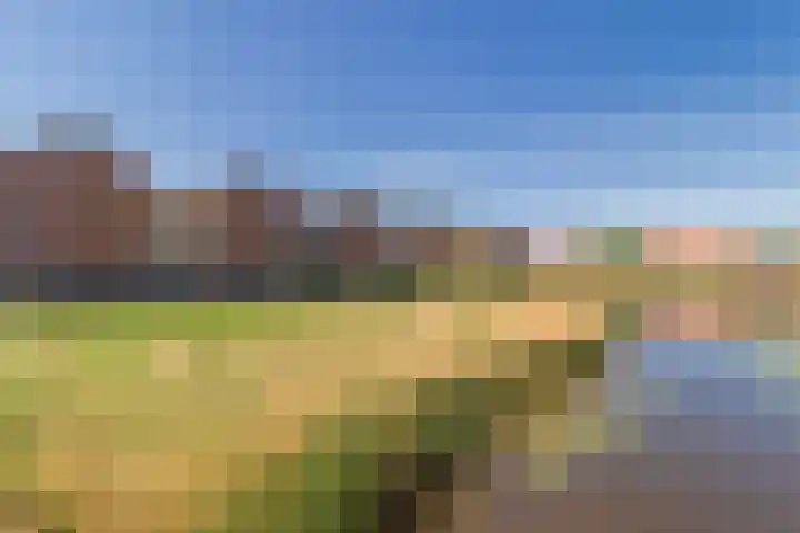 Maneschijn 31 Assendelft thumbnail 34