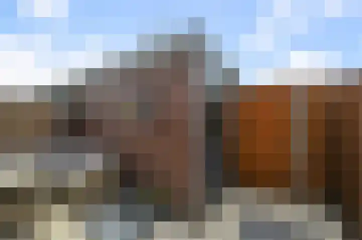 Maneschijn 31 Assendelft thumbnail 36