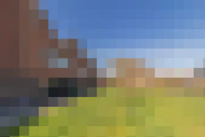 Maneschijn 31 Assendelft thumbnail 38