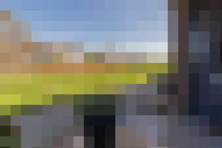 Maneschijn 31 Assendelft thumbnail 39