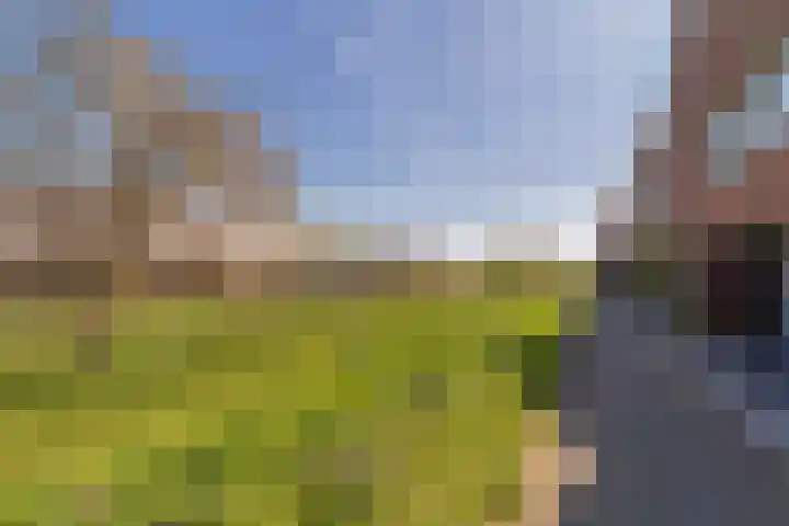 Maneschijn 31 Assendelft thumbnail 40