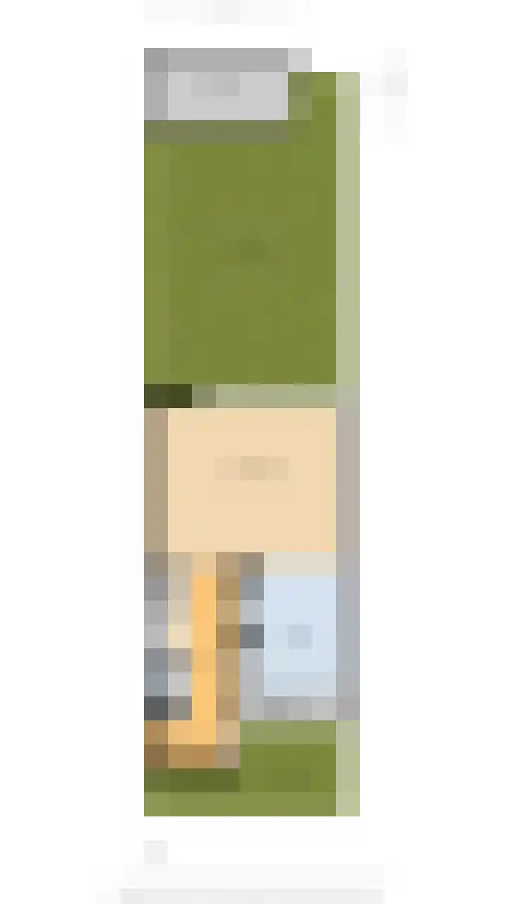 Maneschijn 31 Assendelft thumbnail 46