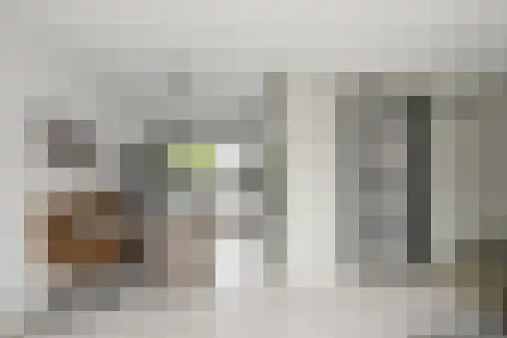 Maneschijn 31 Assendelft thumbnail 5