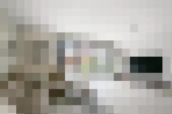 Maneschijn 31 Assendelft thumbnail 6