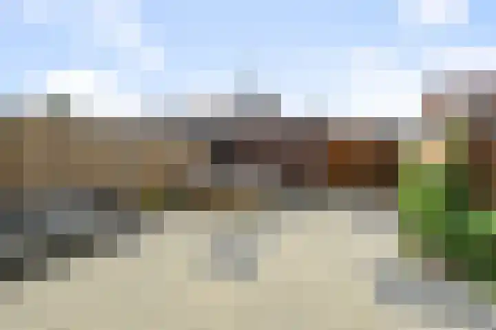 Maneschijn 31 Assendelft thumbnail 9