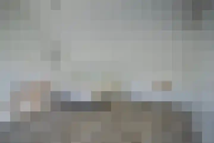 Maneschijn 4 Arnhem thumbnail 23