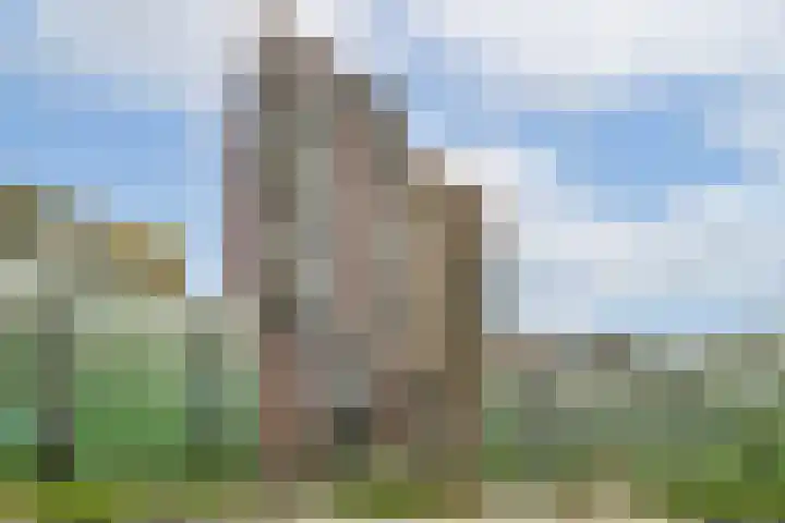 Mangoweg 187 Leiden thumbnail 29