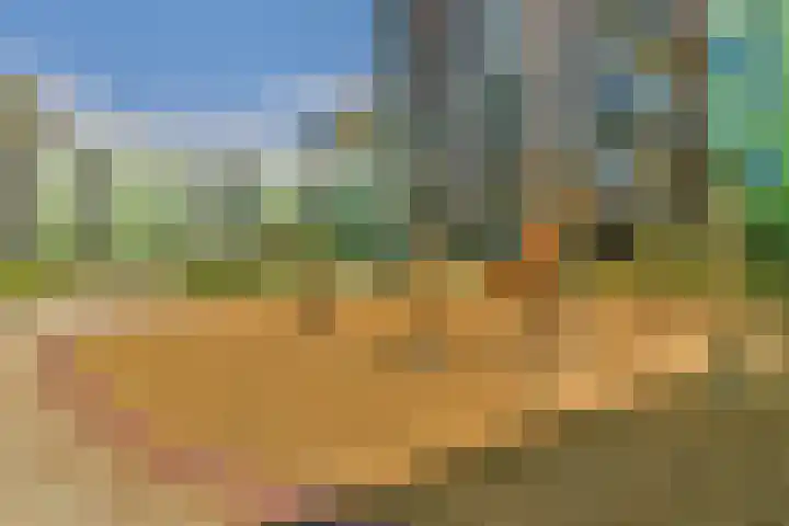 Mangoweg 199 Leiden thumbnail 22