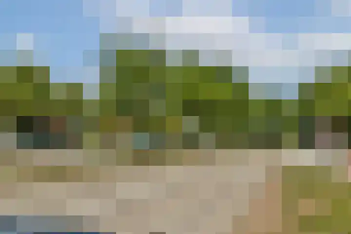 Mangoweg 199 Leiden thumbnail 23