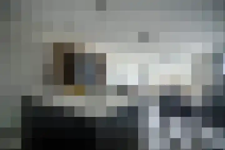 Mangoweg 31 Leiden thumbnail 6