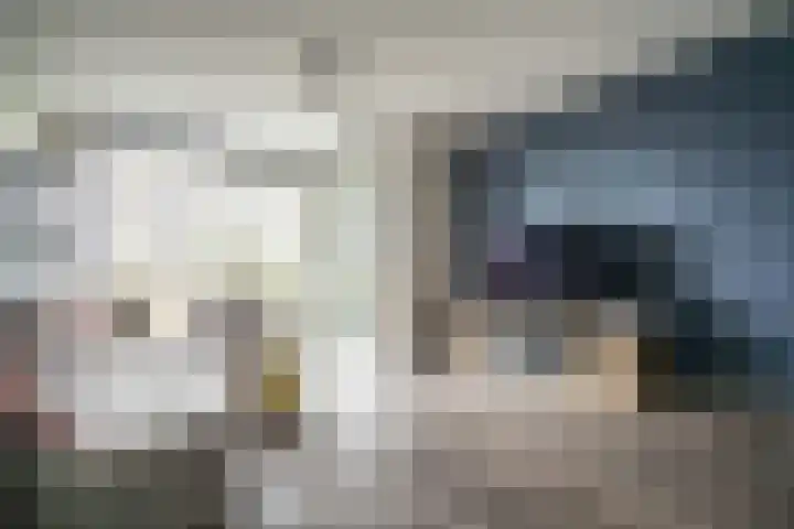 Mangoweg 31 Leiden thumbnail 7