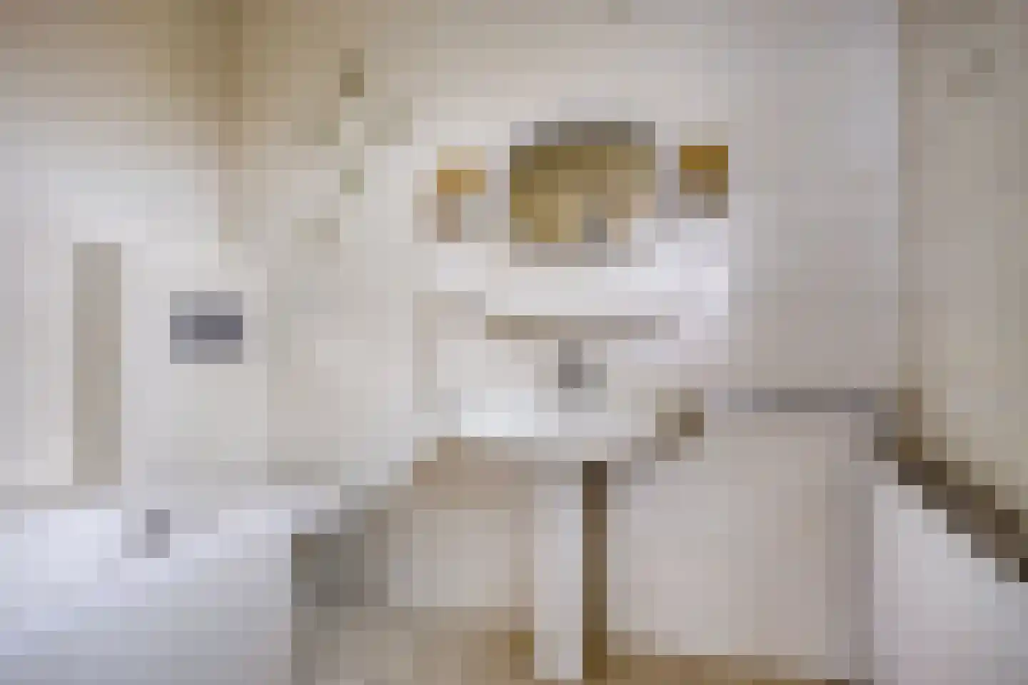 Mangoweg 31 Leiden thumbnail 9