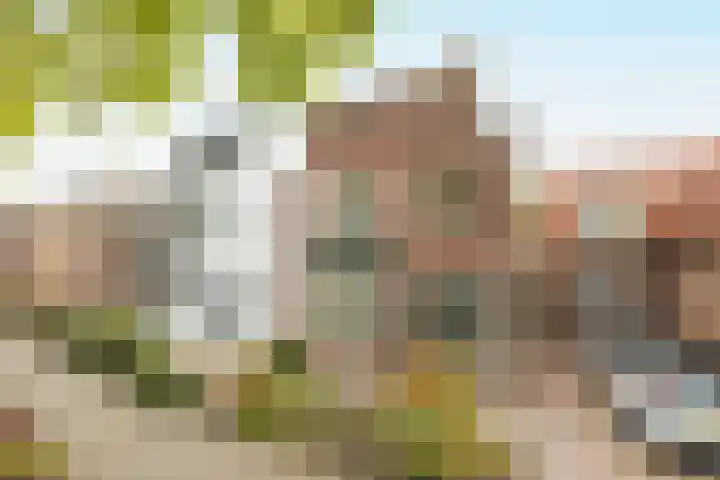 Mangoweg 33 Leiden thumbnail 19
