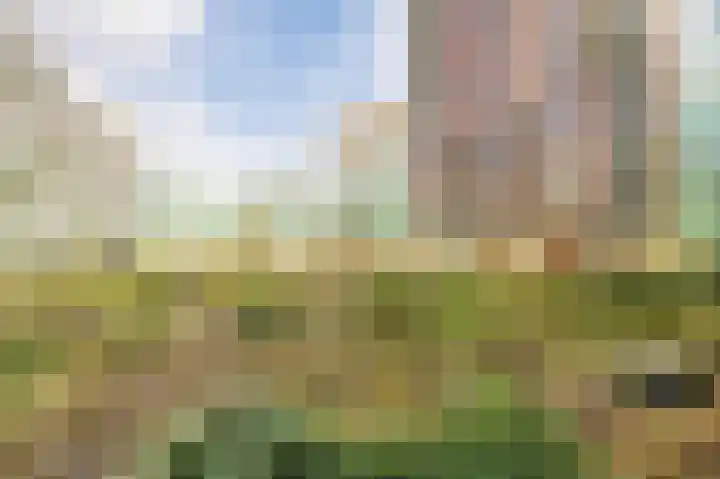 Mangoweg 33 Leiden thumbnail 34