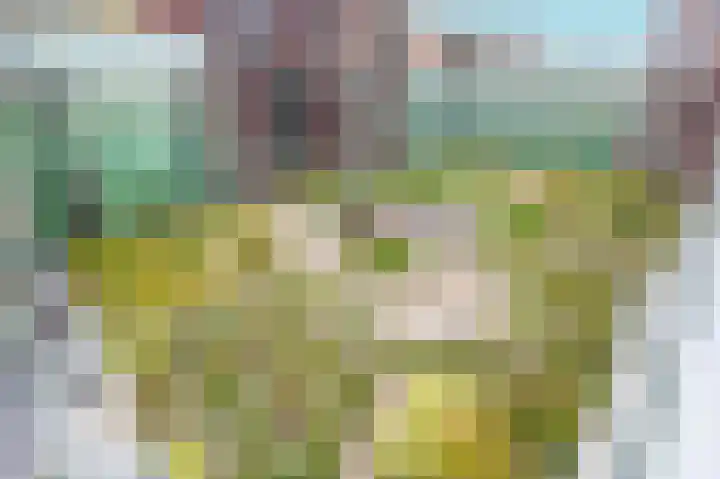 Mangoweg 33 Leiden thumbnail 35