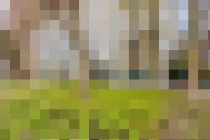Mangoweg 33 Leiden thumbnail 37