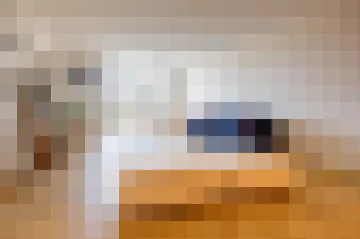 Mangoweg 33 Leiden thumbnail 4