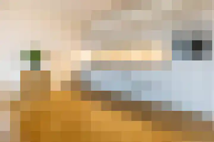 Mangoweg 33 Leiden thumbnail 9