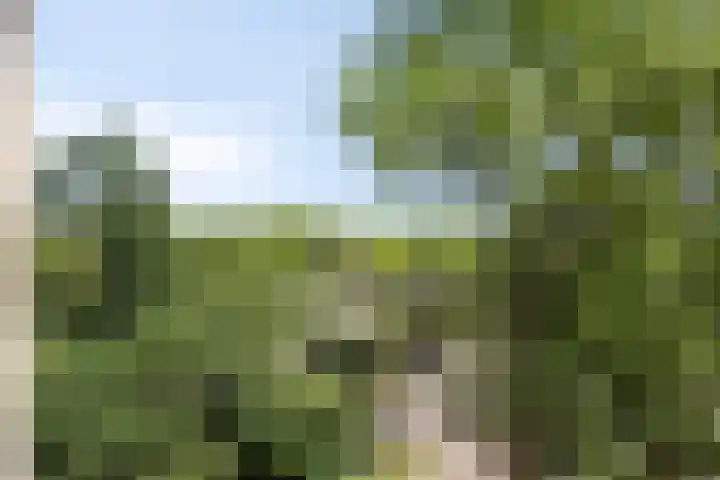 Mangoweg 59 Leiden thumbnail 32