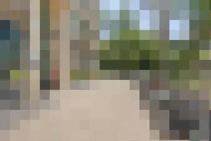 Mangoweg 59 Leiden thumbnail 38