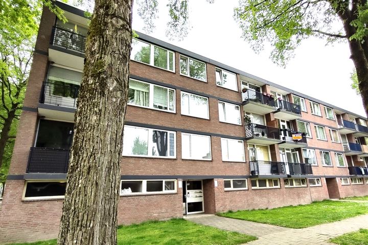 Mangrovestraat 33 in Tilburg foto