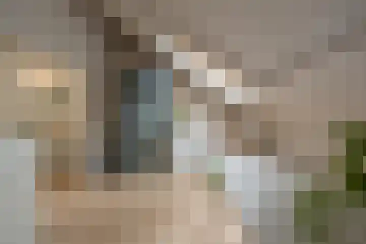 Manhille 2 Westmaas thumbnail 23