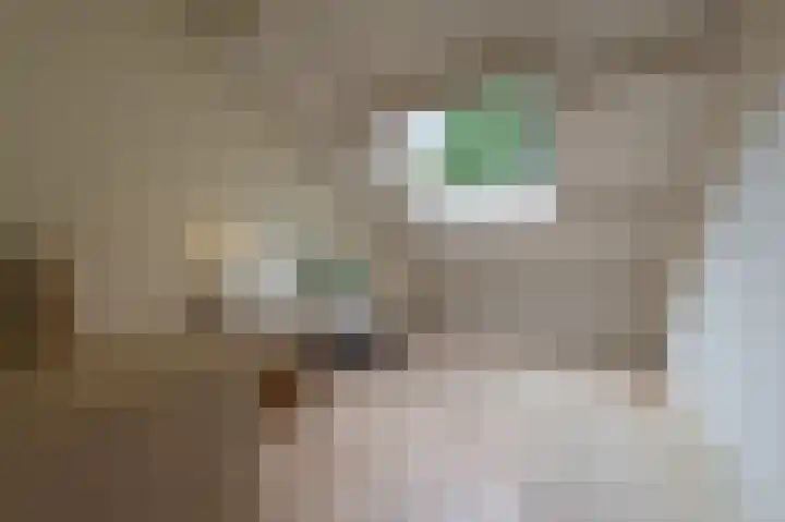 Manhille 2 Westmaas thumbnail 25