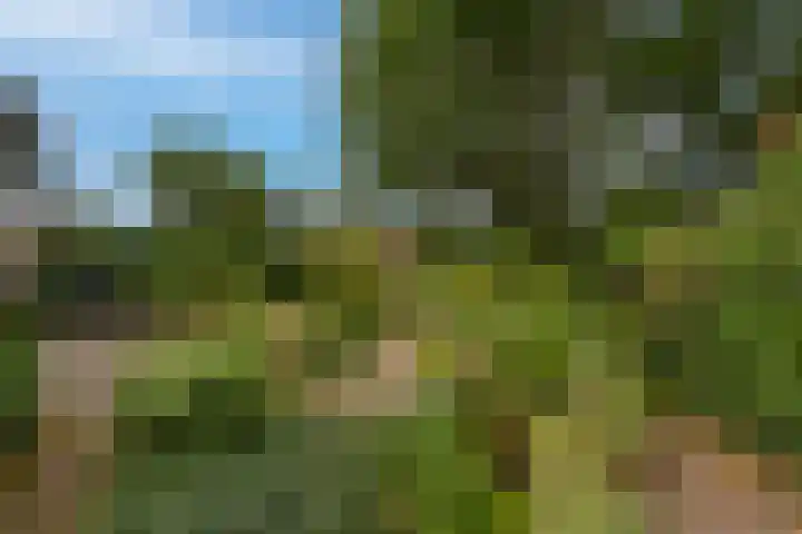 Manhille 2 Westmaas thumbnail 33