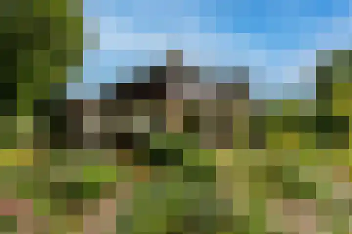 Manhille 2 Westmaas thumbnail 38