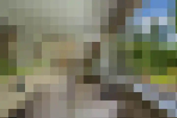 Manhille 2 Westmaas thumbnail 4