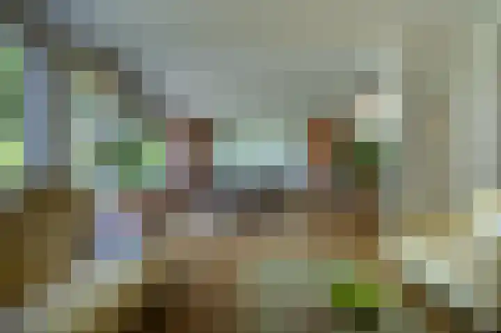 Manhille 2 Westmaas thumbnail 9