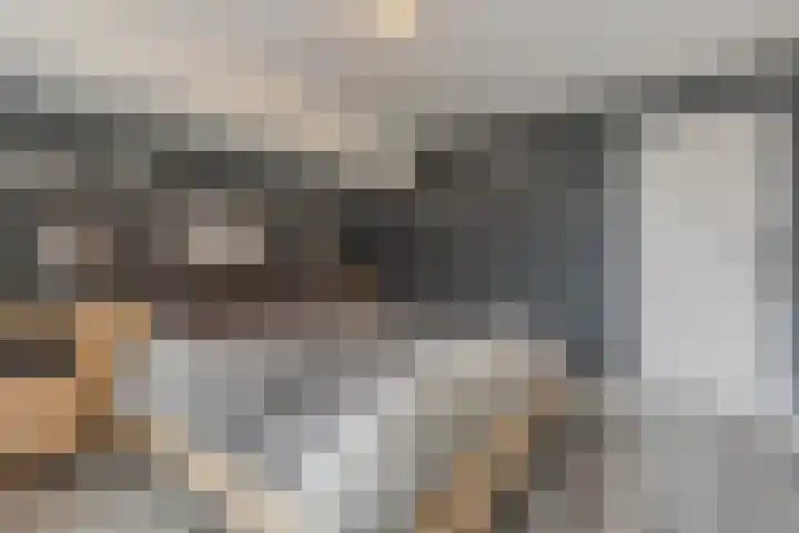 Manhuisveld 17 Breda thumbnail 17
