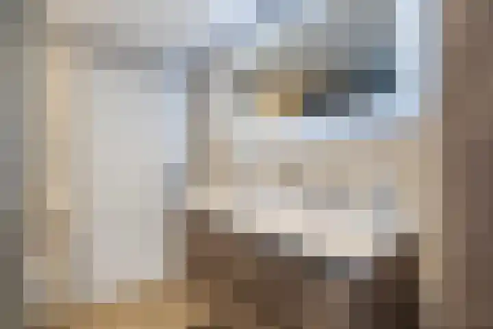 Manhuisveld 17 Breda thumbnail 22