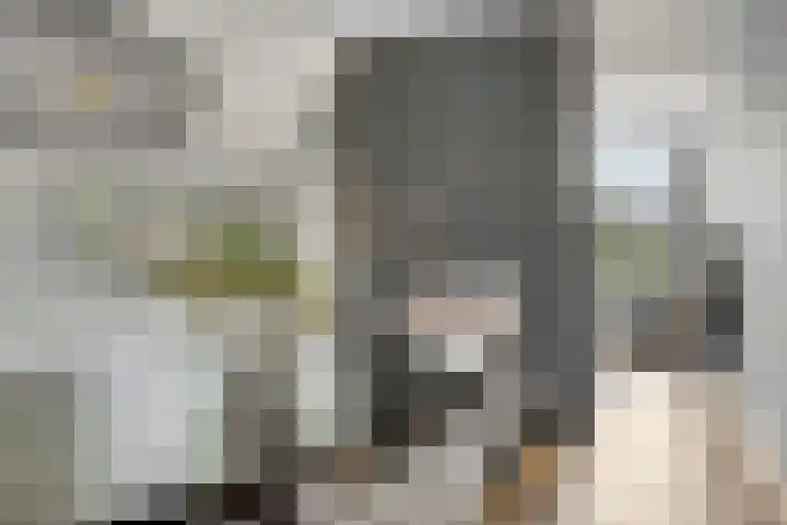 Mansus 23 Veldhoven thumbnail 19