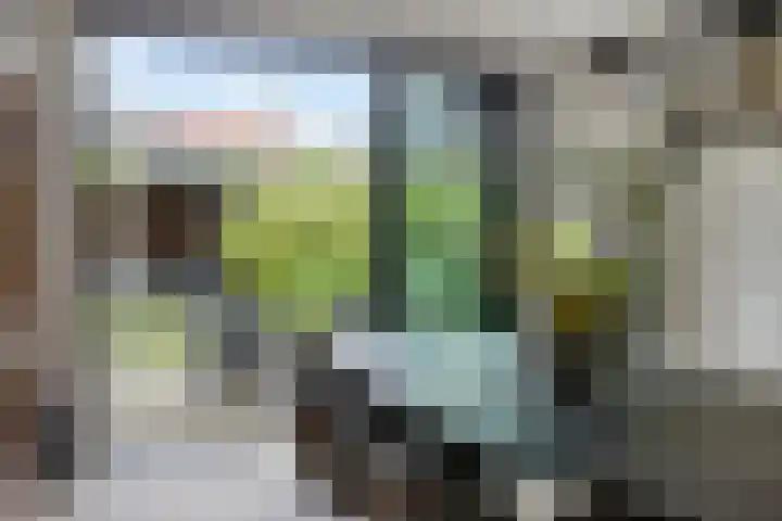 Mansus 23 Veldhoven thumbnail 21