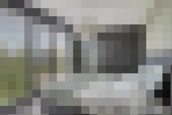 Mansus 23 Veldhoven thumbnail 31