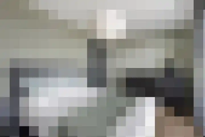 Mansus 23 Veldhoven thumbnail 32