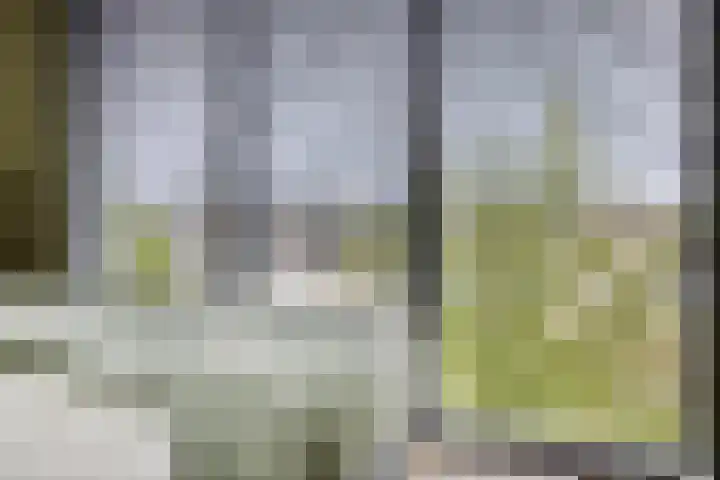 Mansus 23 Veldhoven thumbnail 33