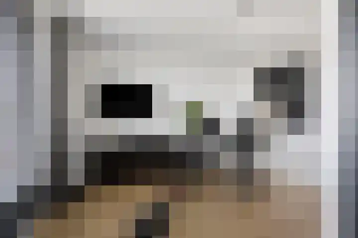 Mansus 23 Veldhoven thumbnail 40