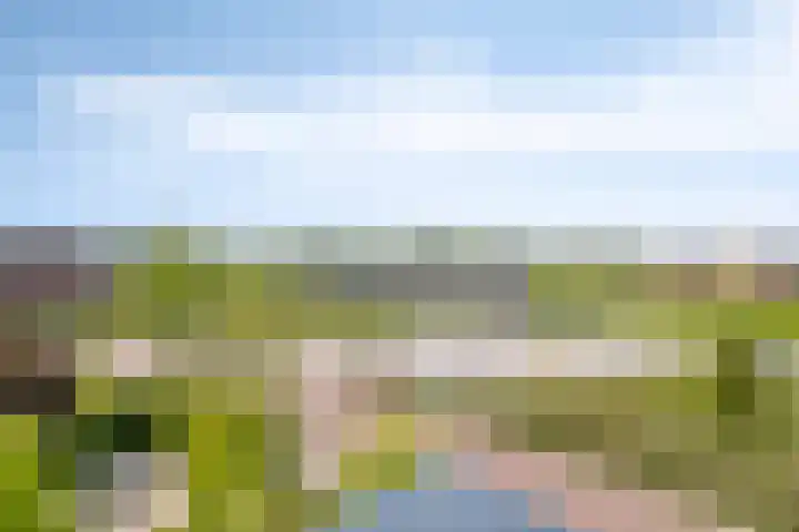 Mansus 23 Veldhoven thumbnail 42