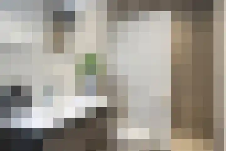 Mansus 23 Veldhoven thumbnail 47