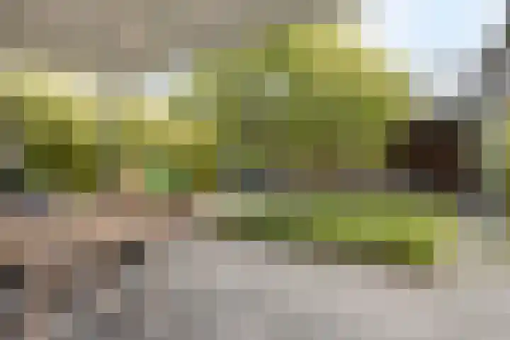Mansus 23 Veldhoven thumbnail 53