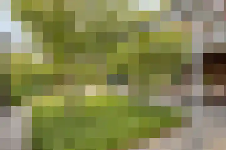 Mansus 23 Veldhoven thumbnail 6