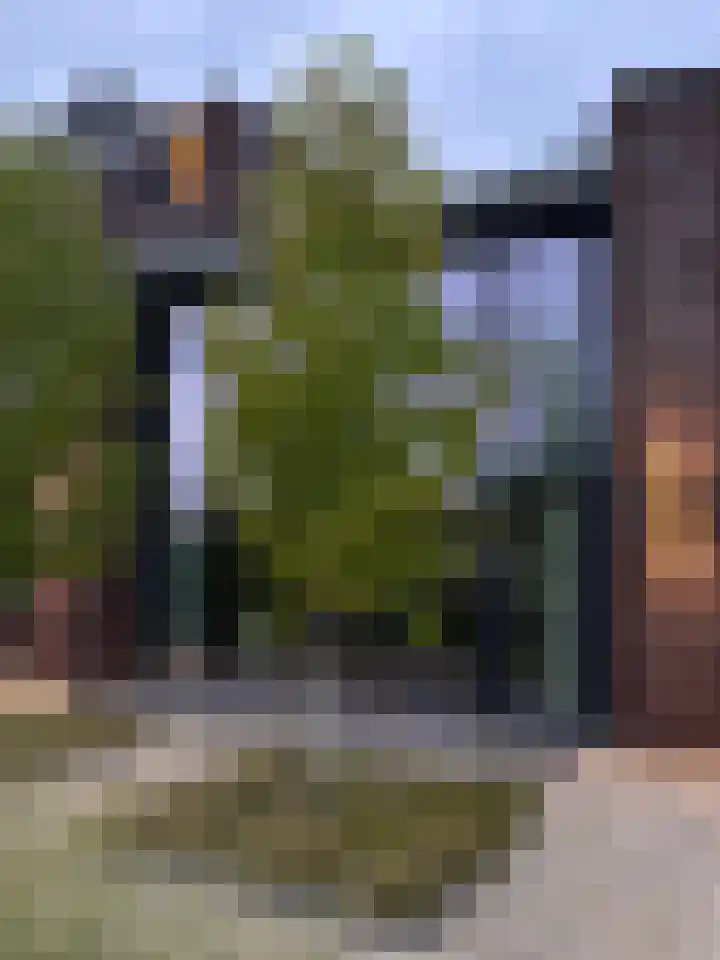 Mansus 23 Veldhoven thumbnail 60