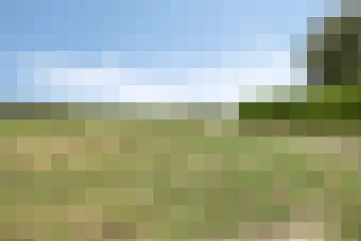 Mansus 23 Veldhoven thumbnail 64