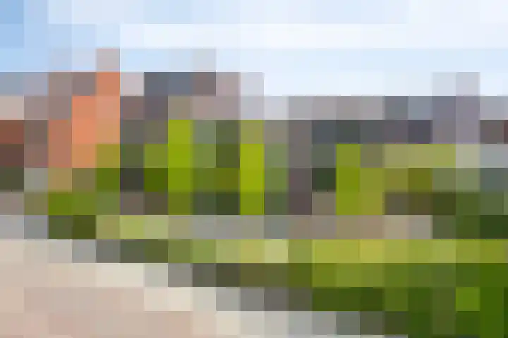 Mansus 23 Veldhoven thumbnail 69