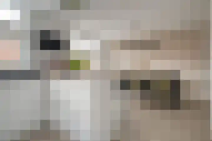 Mantelspeld 14 Dalfsen thumbnail 10