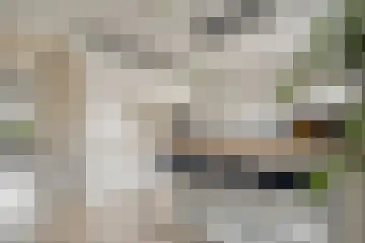 Mantelspeld 14 Dalfsen thumbnail 11